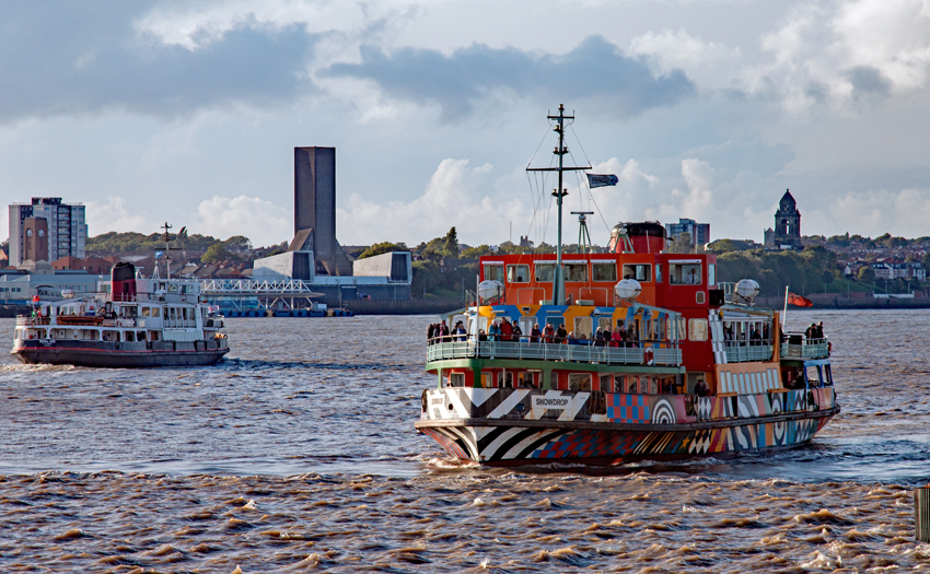Royal Iris of the Mersey and Snowdrop