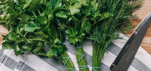 parsley leaves and chive