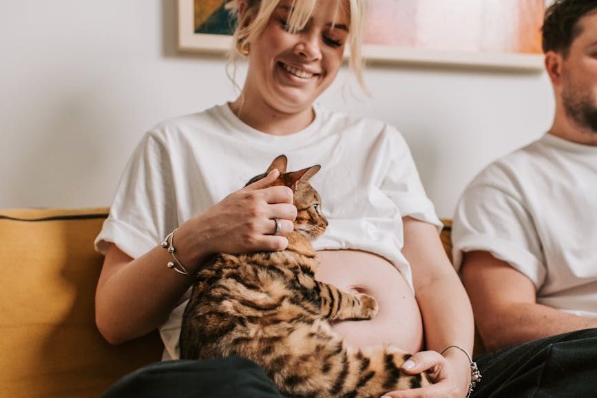 pregnant woman sitting on sofa while holding a cat